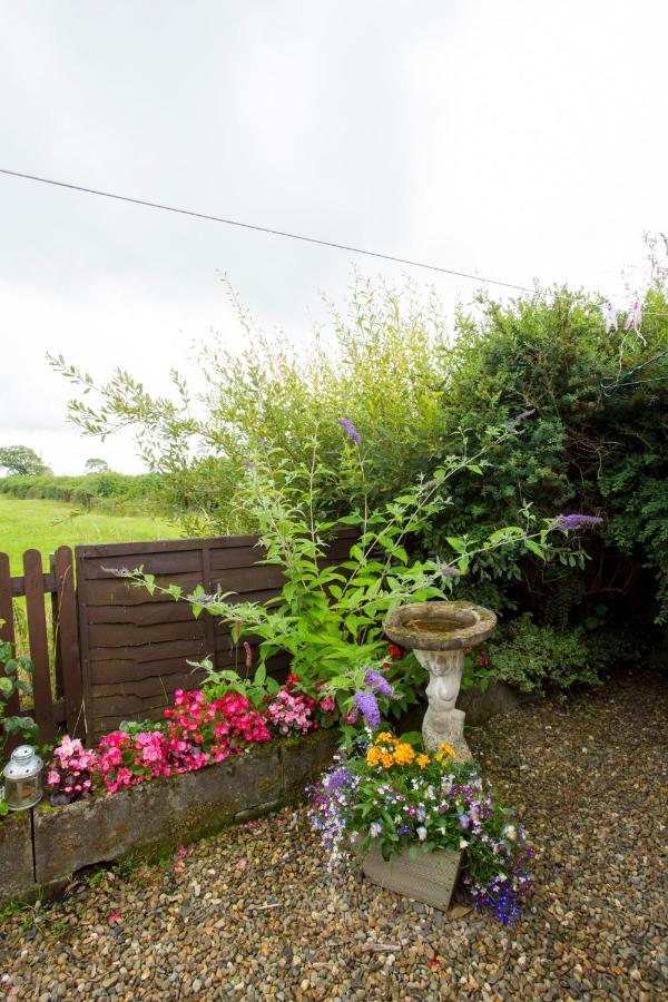 Goitre Bach Cottage อาแบร์ไรรอน ภายนอก รูปภาพ