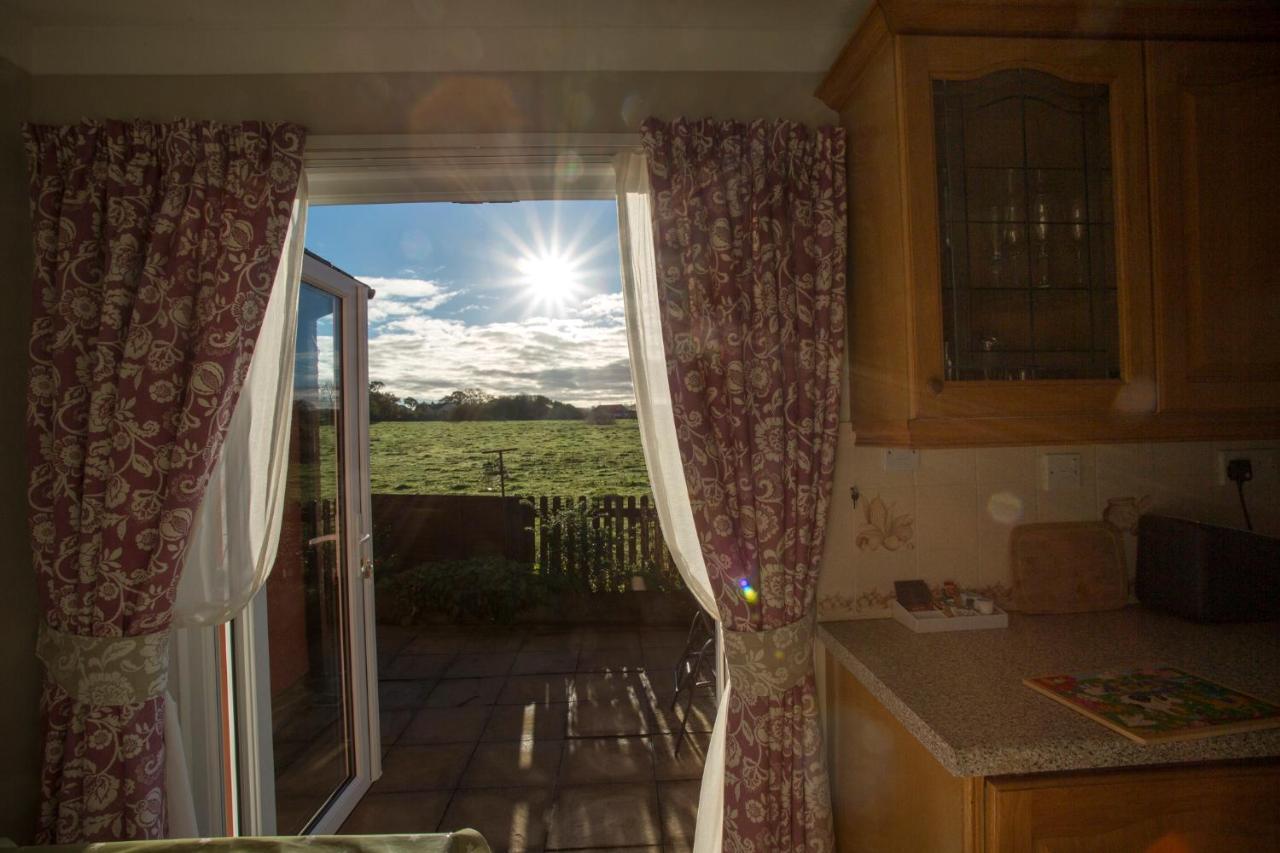 Goitre Bach Cottage อาแบร์ไรรอน ภายนอก รูปภาพ